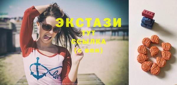 стаф Абинск