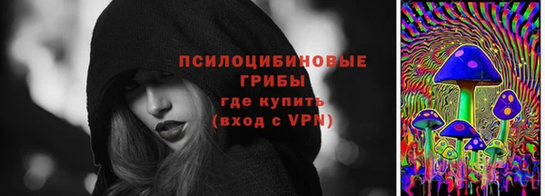 стаф Абинск