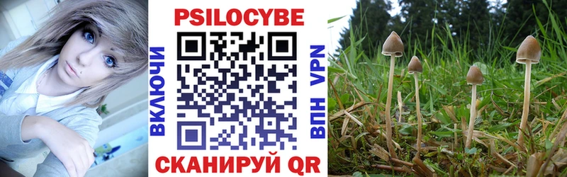 Галлюциногенные грибы GOLDEN TEACHER  Якутск 